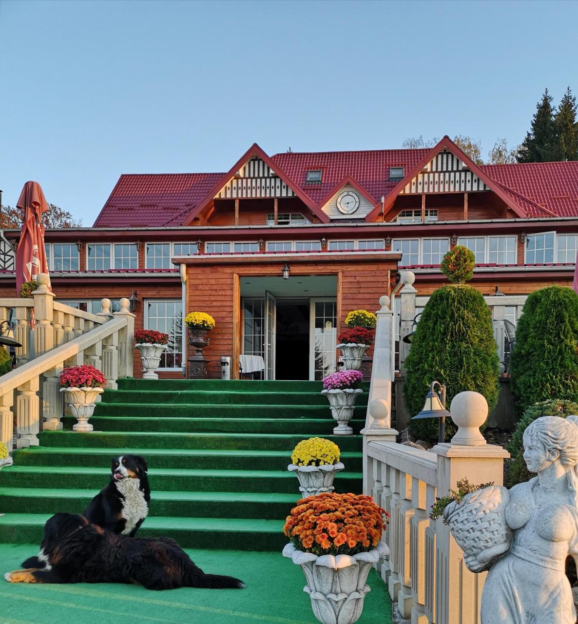 Monterai Poiana Brasov